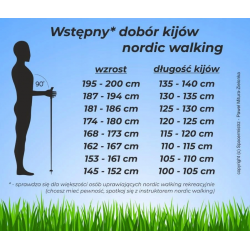 Kije KV+ EXCLUSIVE CLIP PINK dł. 115 cm - zdjęcie 2