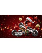 Nartorolki Terenowe na Prezent | Aktywne Święta | Cross-Skating.pl